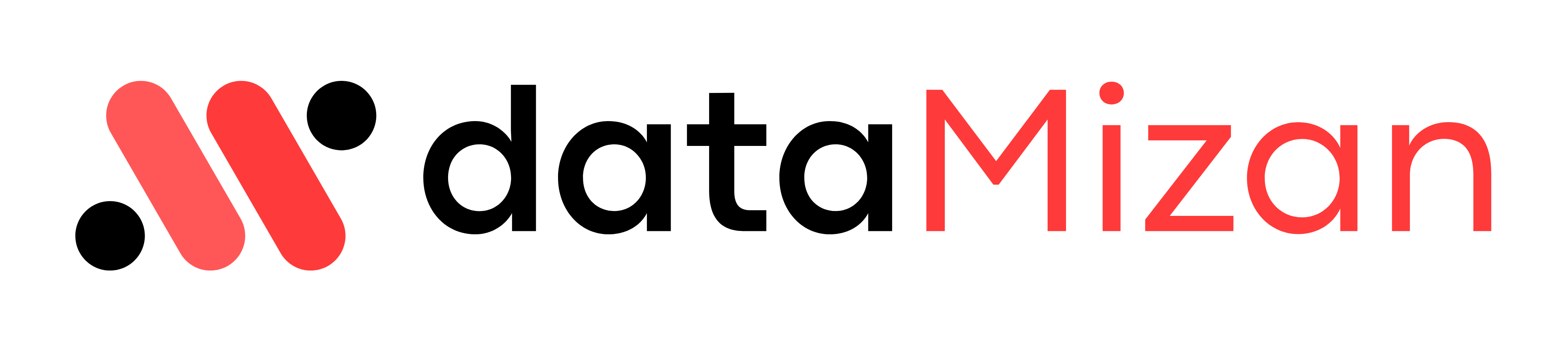 DataMizan Logo